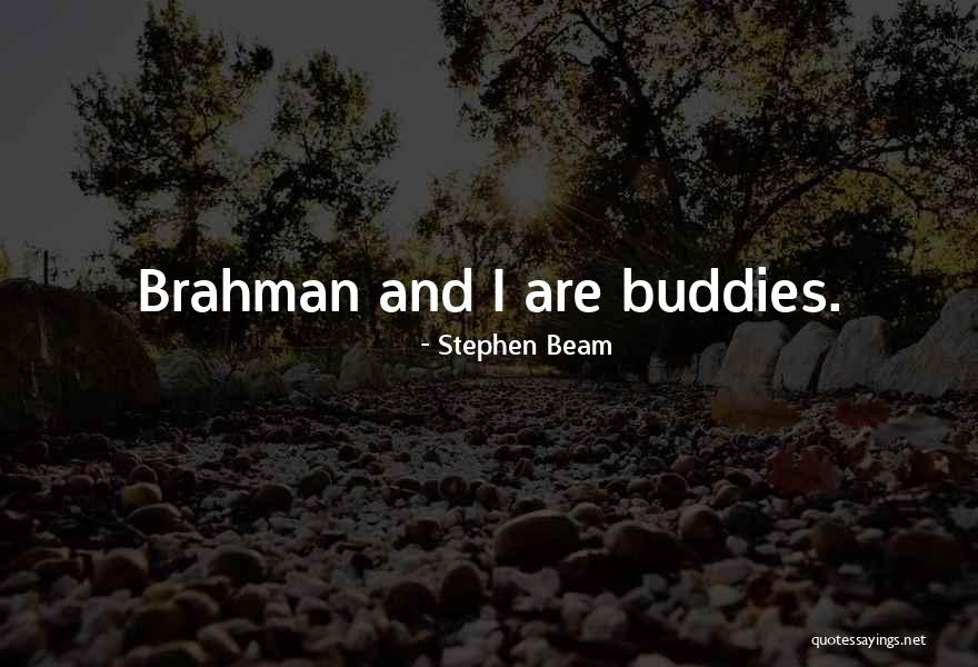 Kipping Crossfit Quotes By Stephen Beam