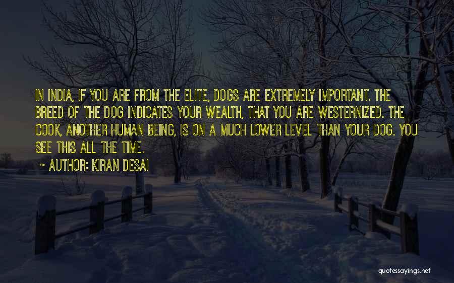 Kiran Desai Quotes 188762