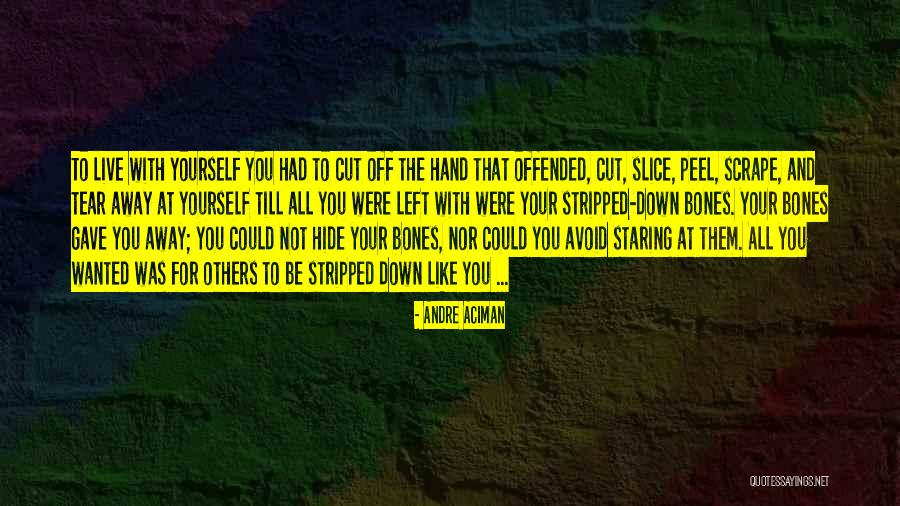 Kirei Board Quotes By Andre Aciman Kirei Board Quotes By Andre Aciman