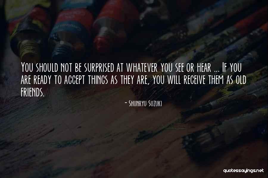 Kiriaki Koutsoumbardi Quotes By Shunryu Suzuki Kiriaki Koutsoumbardi Quotes By Shunryu Suzuki