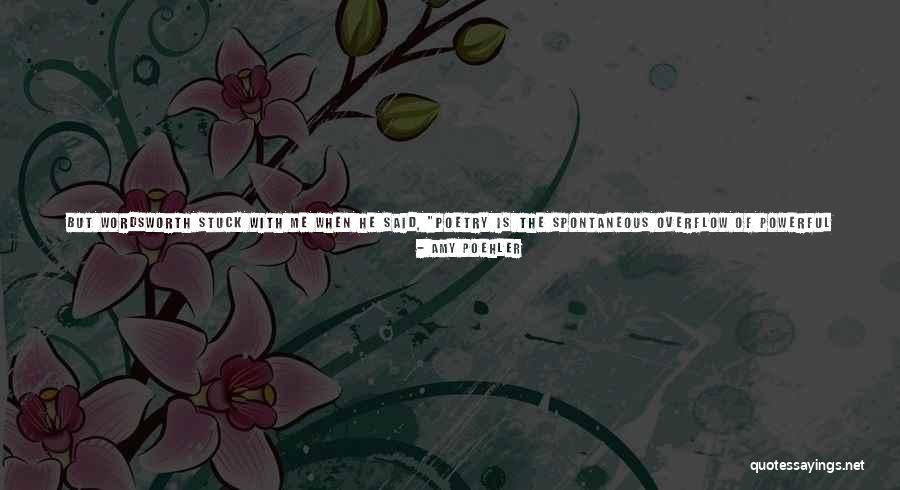 Kirkov Law Quotes By Amy Poehler Kirkov Law Quotes By Amy Poehler