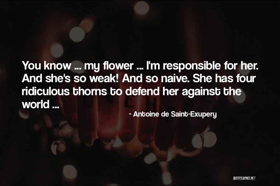 Kirkwoods Sweeper Quotes By Antoine De Saint-Exupery Kirkwoods Sweeper Quotes By Antoine De Saint-Exupery