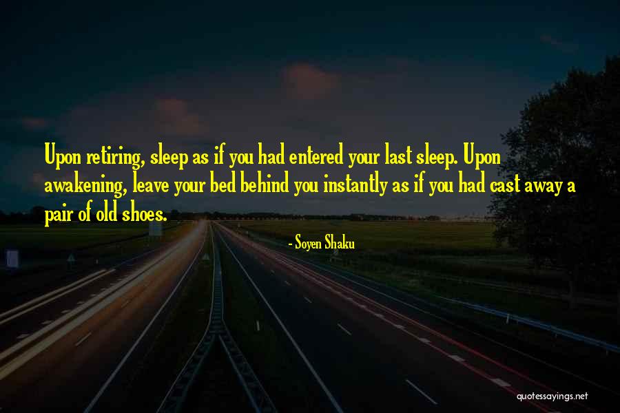 Kirmse Painting Quotes By Soyen Shaku Kirmse Painting Quotes By Soyen Shaku