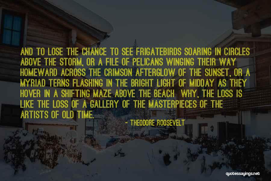 Kirov Class Quotes By Theodore Roosevelt Kirov Class Quotes By Theodore Roosevelt