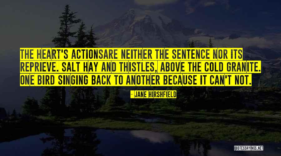Kirstie Ennis Quotes By Jane Hirshfield Kirstie Ennis Quotes By Jane Hirshfield