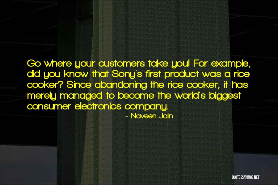 Kirstin Cutts Quotes By Naveen Jain Kirstin Cutts Quotes By Naveen Jain