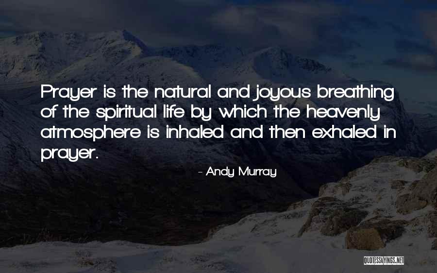 Kiss Burn Calories Quotes By Andy Murray Kiss Burn Calories Quotes By Andy Murray