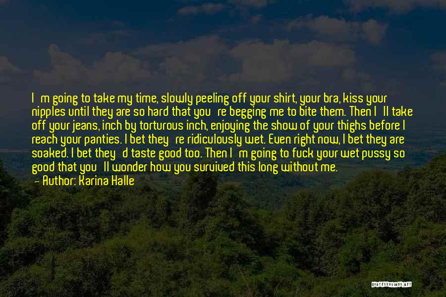Kiss Me Slowly Quotes By Karina Halle