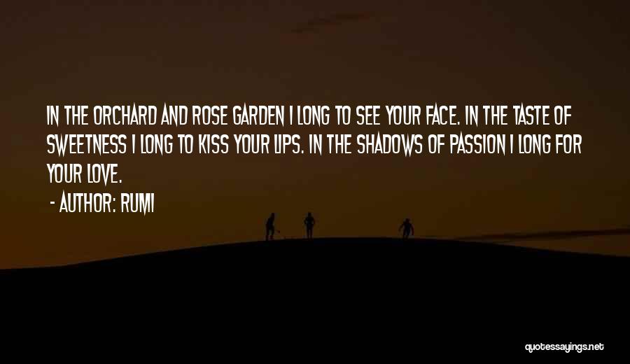 Kiss Your Face Quotes By Rumi