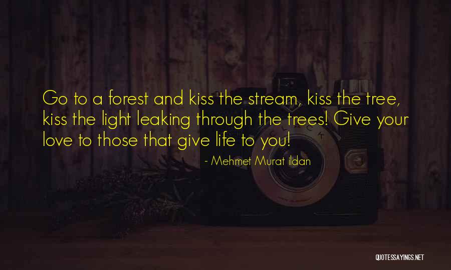 Kissing And Life Quotes By Mehmet Murat Ildan