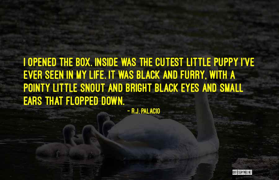 Kissing Her Inner Thighs Quotes By R.J. Palacio Kissing Her Inner Thighs Quotes By R.J. Palacio