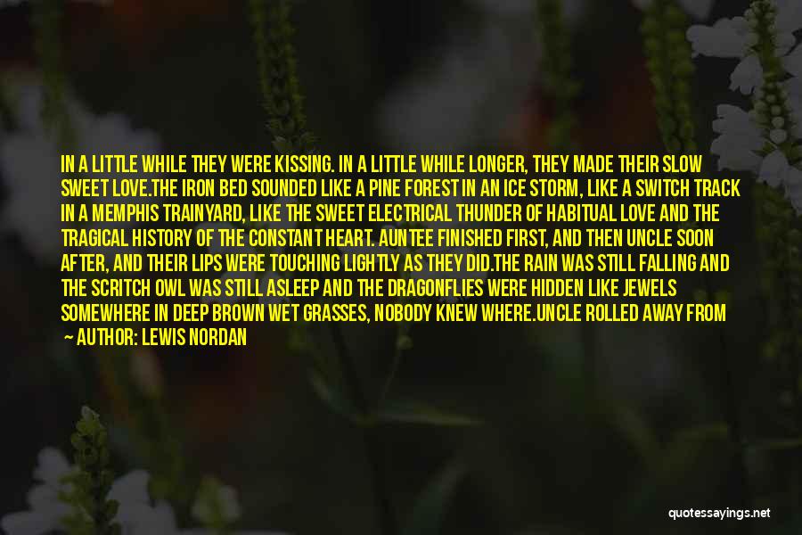 Kissing In The Rain Quotes By Lewis Nordan