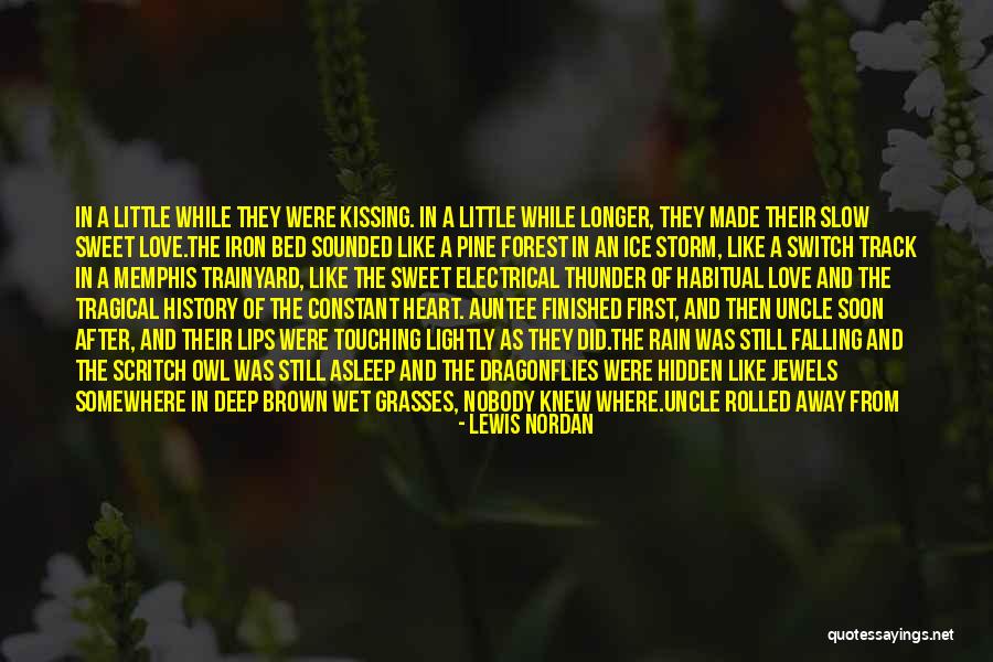 Kissing Under The Rain Quotes By Lewis Nordan Kissing Under The Rain Quotes By Lewis Nordan