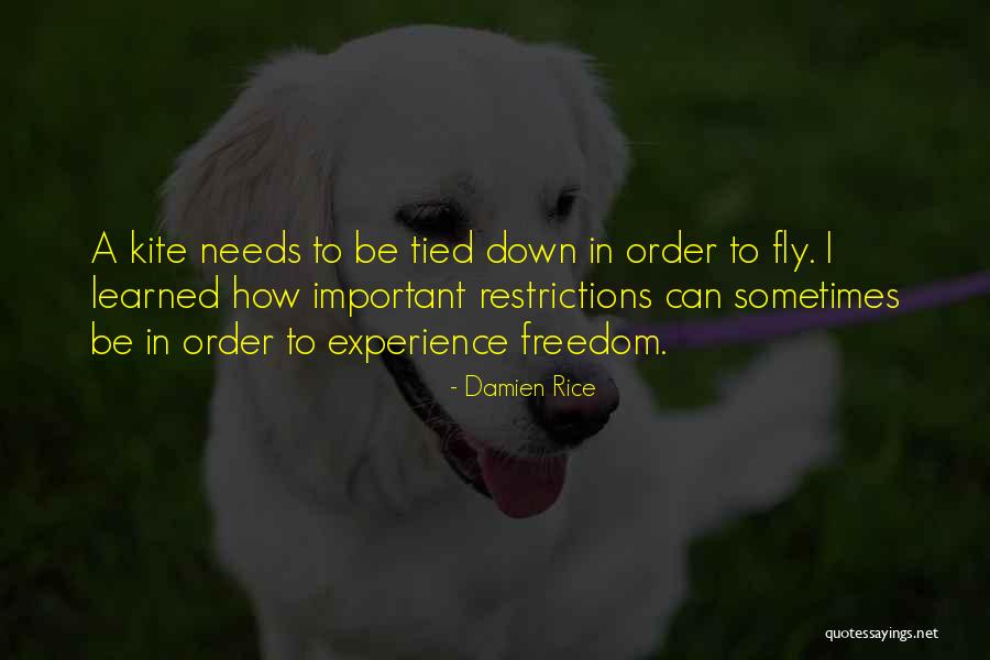 Kistenmacher Shattaf Quotes By Damien Rice Kistenmacher Shattaf Quotes By Damien Rice