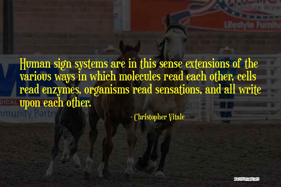 Kiswell Electrode Quotes By Christopher Vitale Kiswell Electrode Quotes By Christopher Vitale