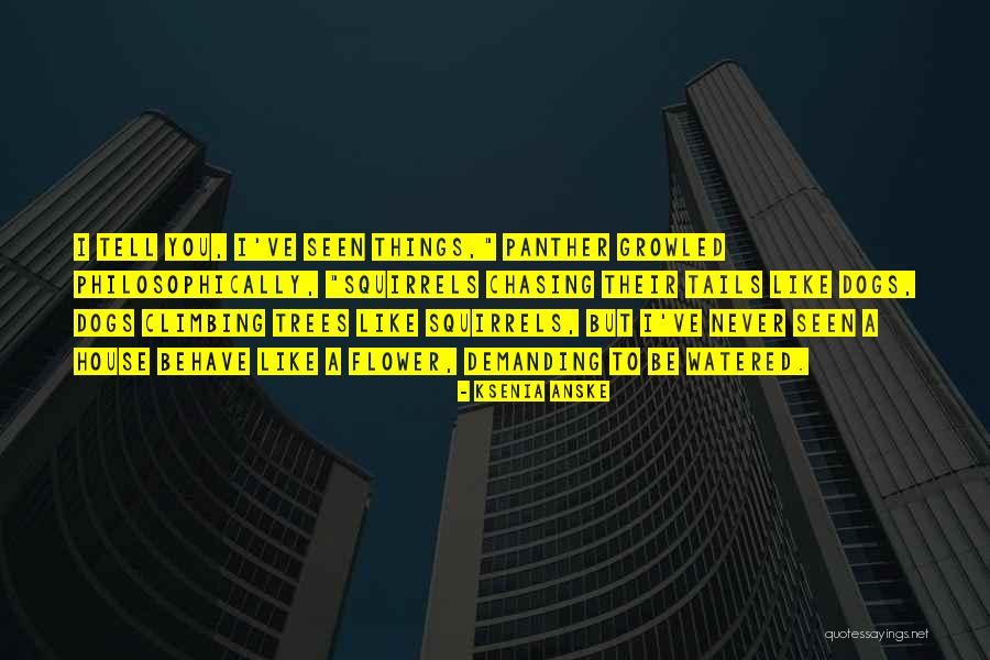 Kiswell Mig Quotes By Ksenia Anske Kiswell Mig Quotes By Ksenia Anske