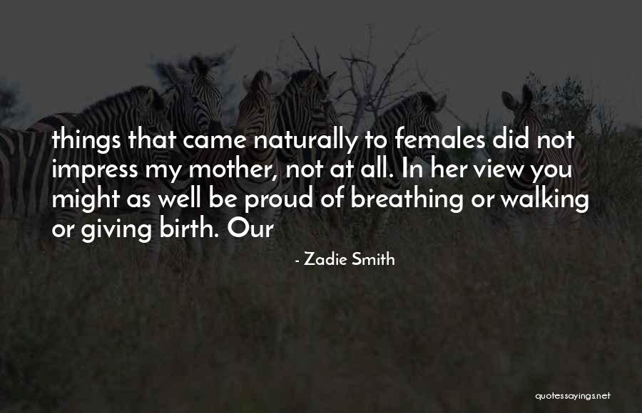 Kit Melendy Quotes By Zadie Smith Kit Melendy Quotes By Zadie Smith