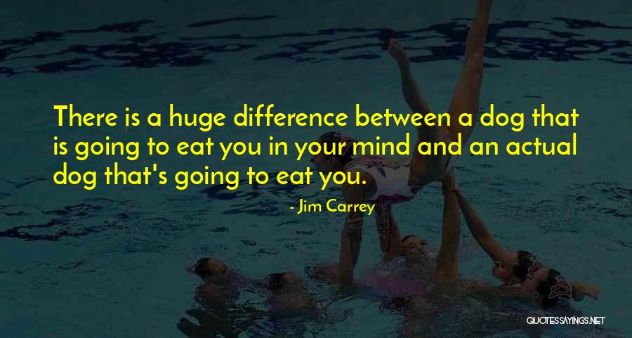 Kitano Ken Quotes By Jim Carrey Kitano Ken Quotes By Jim Carrey