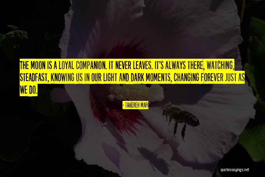 Kitchen Artwork Quotes By Tahereh Mafi Kitchen Artwork Quotes By Tahereh Mafi
