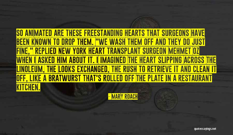 Kitchen Clean Up Quotes By Mary Roach Kitchen Clean Up Quotes By Mary Roach