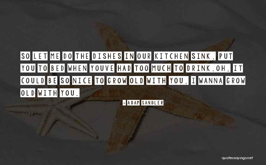 Kitchen Sink Quotes By Adam Sandler Kitchen Sink Quotes By Adam Sandler