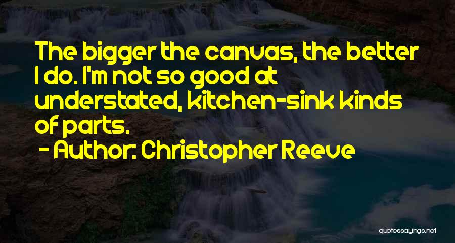 Kitchen Sink Quotes By Christopher Reeve