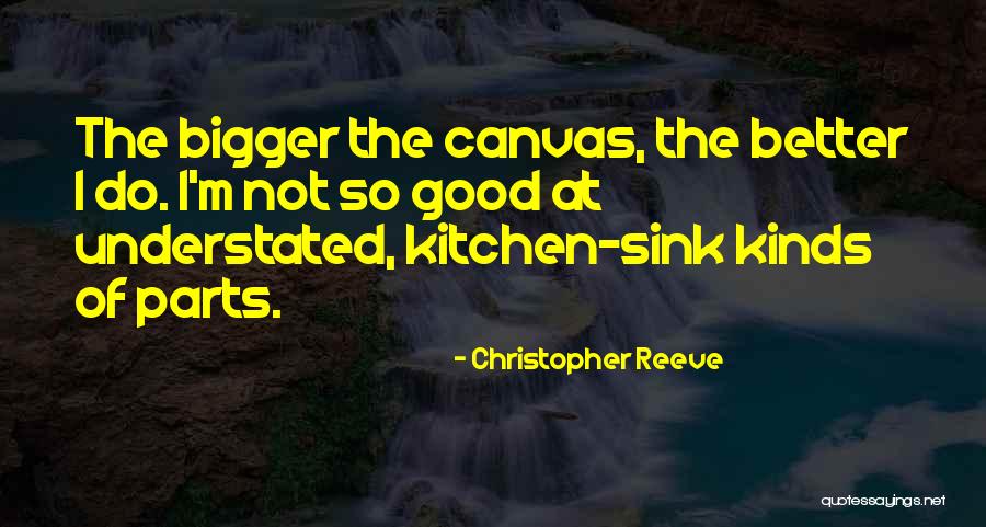 Kitchen Sink Quotes By Christopher Reeve