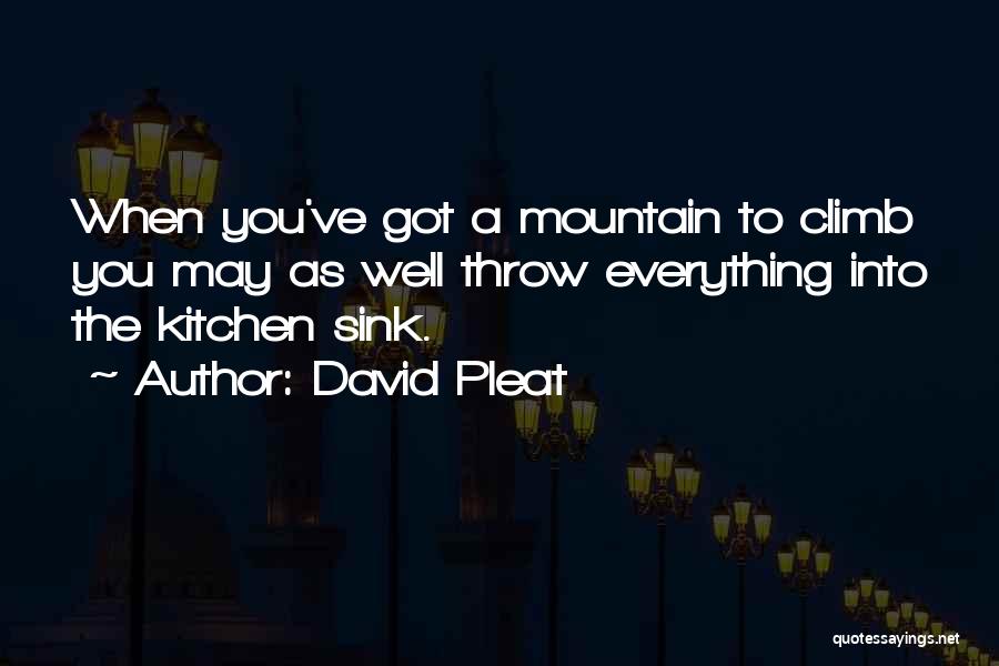 Kitchen Sink Quotes By David Pleat
