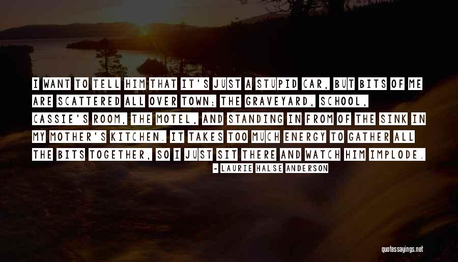 Kitchen Sink Quotes By Laurie Halse Anderson Kitchen Sink Quotes By Laurie Halse Anderson