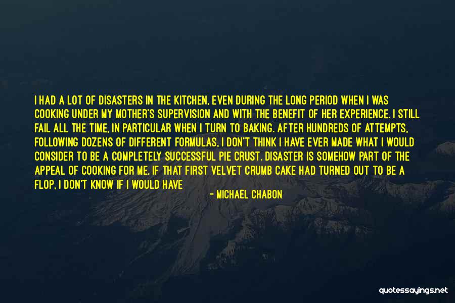 Kitchen Sink Quotes By Michael Chabon