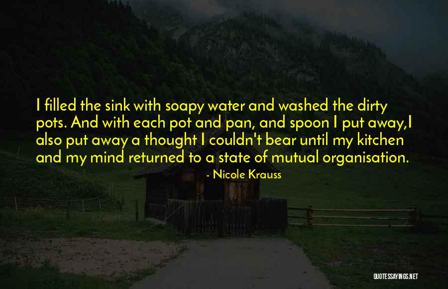 Kitchen Sink Quotes By Nicole Krauss