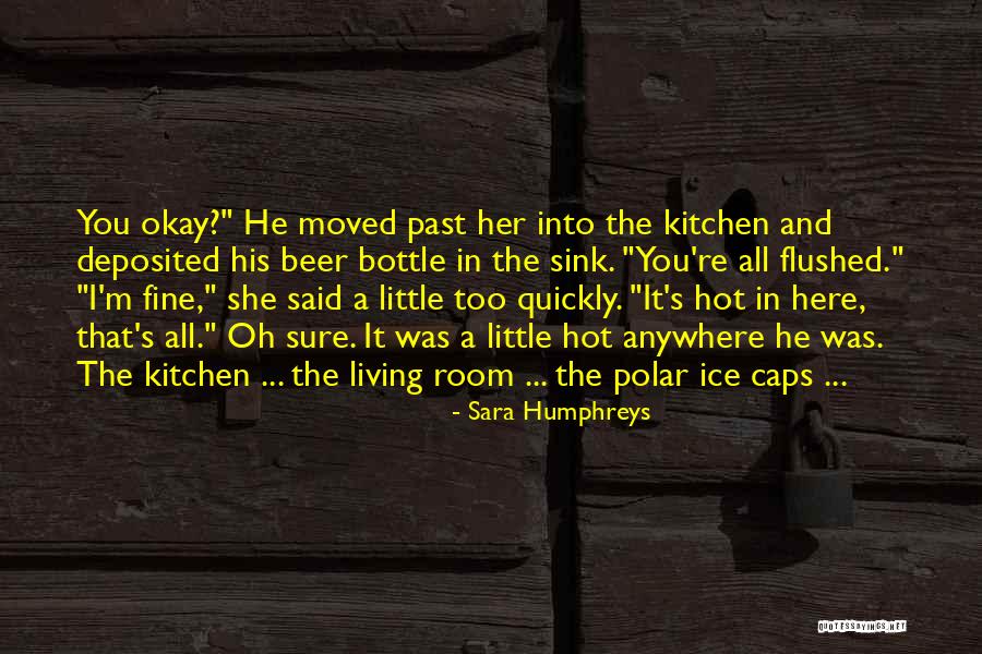 Kitchen Sink Quotes By Sara Humphreys