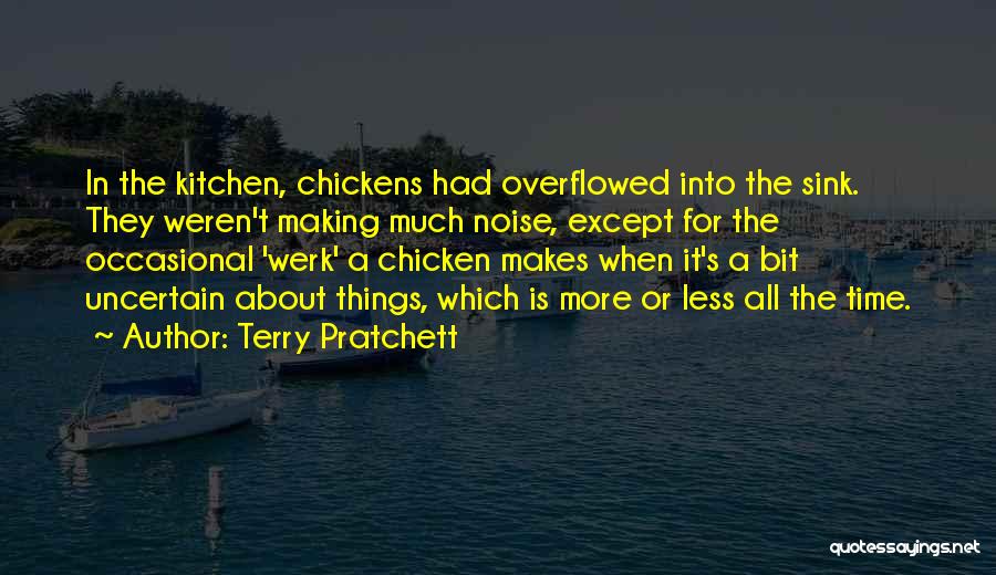 Kitchen Sink Quotes By Terry Pratchett