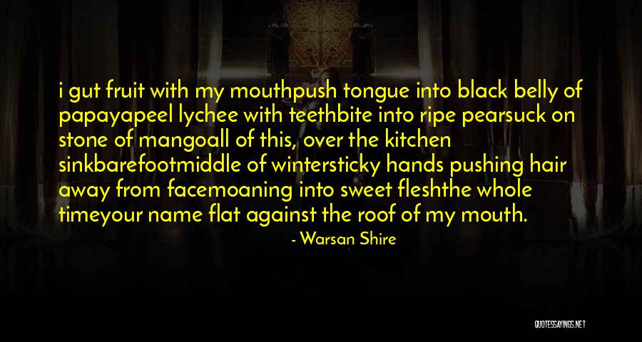Kitchen Sink Quotes By Warsan Shire Kitchen Sink Quotes By Warsan Shire