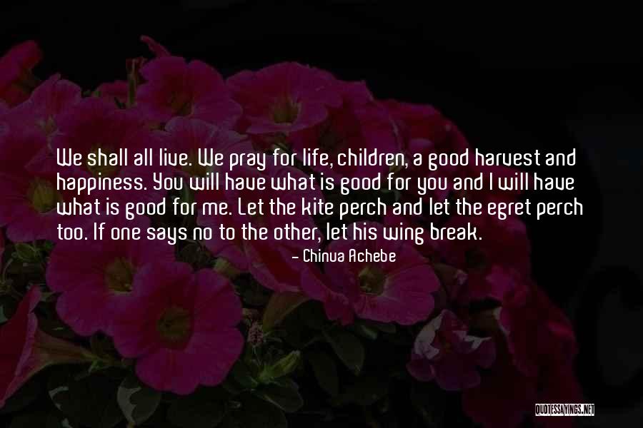 Kites And Life Quotes By Chinua Achebe