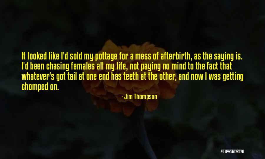 Kitesurfing Magazine Quotes By Jim Thompson Kitesurfing Magazine Quotes By Jim Thompson