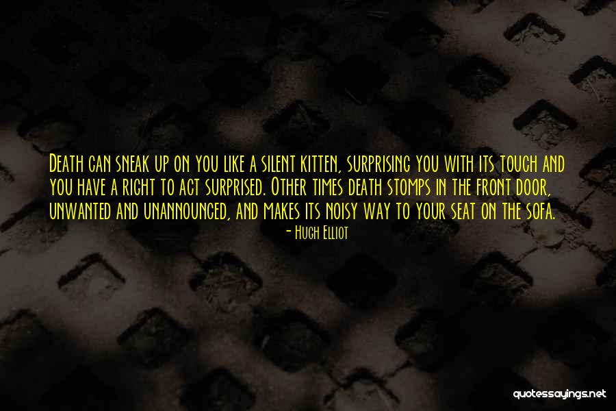 Kitten Death Quotes By Hugh Elliot Kitten Death Quotes By Hugh Elliot