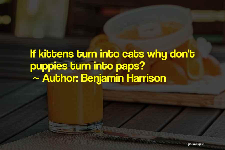 Kittens And Cats Quotes By Benjamin Harrison