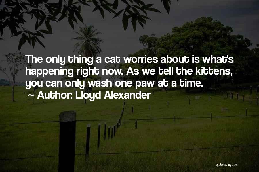 Kittens And Cats Quotes By Lloyd Alexander