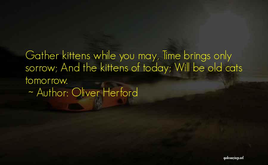 Kittens And Cats Quotes By Oliver Herford