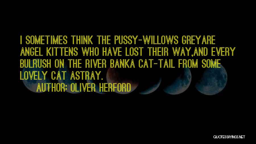 Kittens And Cats Quotes By Oliver Herford