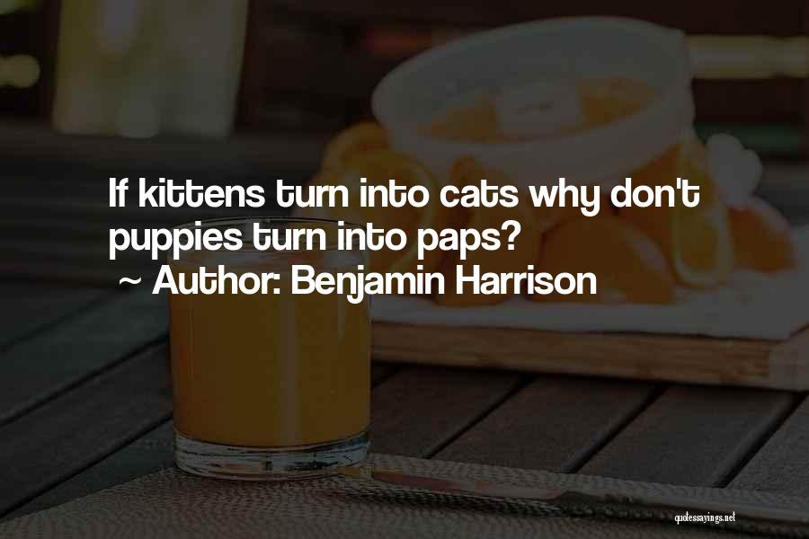 Kittens Quotes By Benjamin Harrison