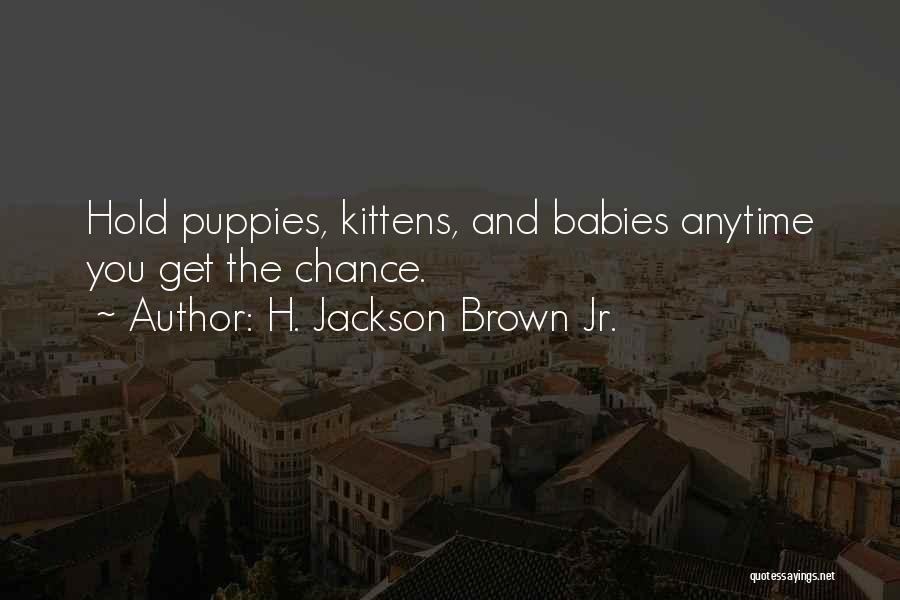 Kittens Quotes By H. Jackson Brown Jr.