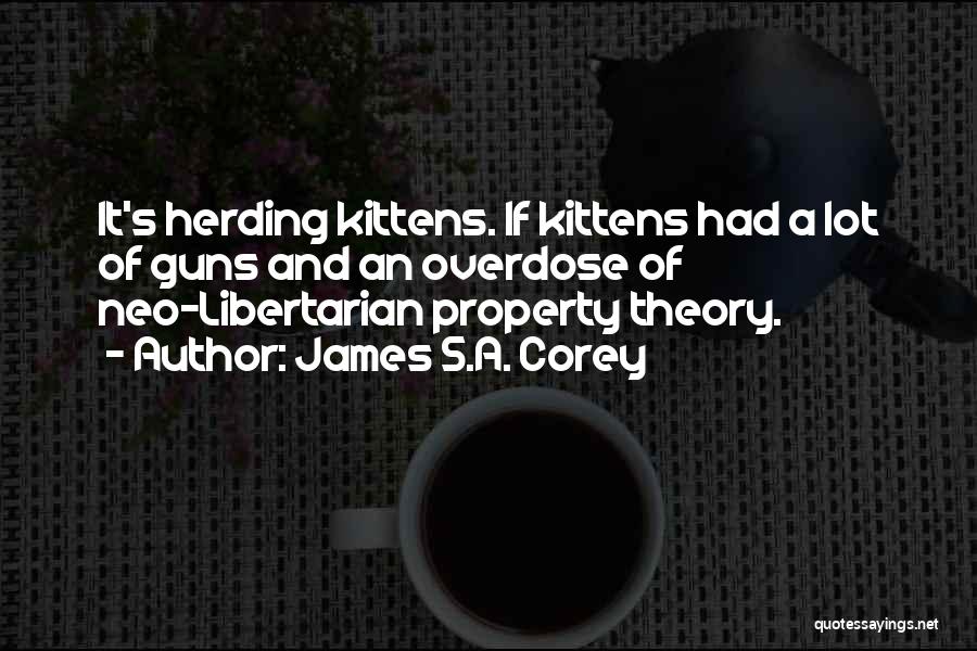 Kittens Quotes By James S.A. Corey