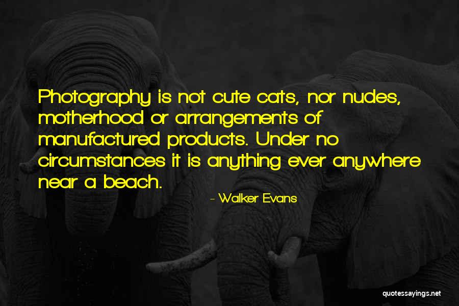 Kitzeln Siebert Quotes By Walker Evans Kitzeln Siebert Quotes By Walker Evans