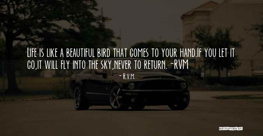 Kiya Tomlin Quotes By R.v.m. Kiya Tomlin Quotes By R.v.m.