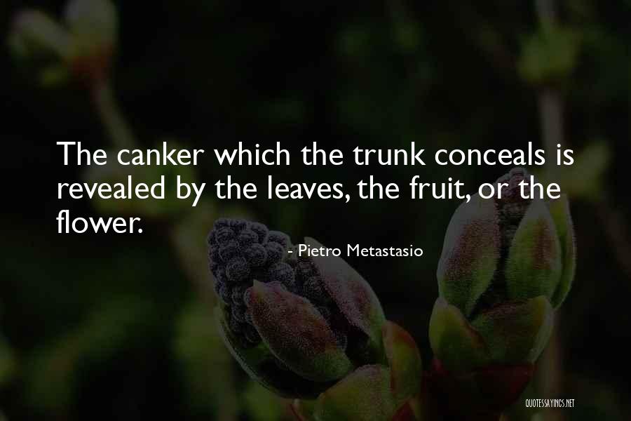 Kiyamet Othman Ep 13 Quotes By Pietro Metastasio Kiyamet Othman Ep 13 Quotes By Pietro Metastasio