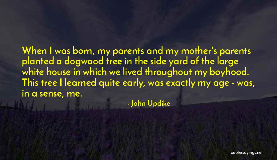 Kizi Game Quotes By John Updike Kizi Game Quotes By John Updike