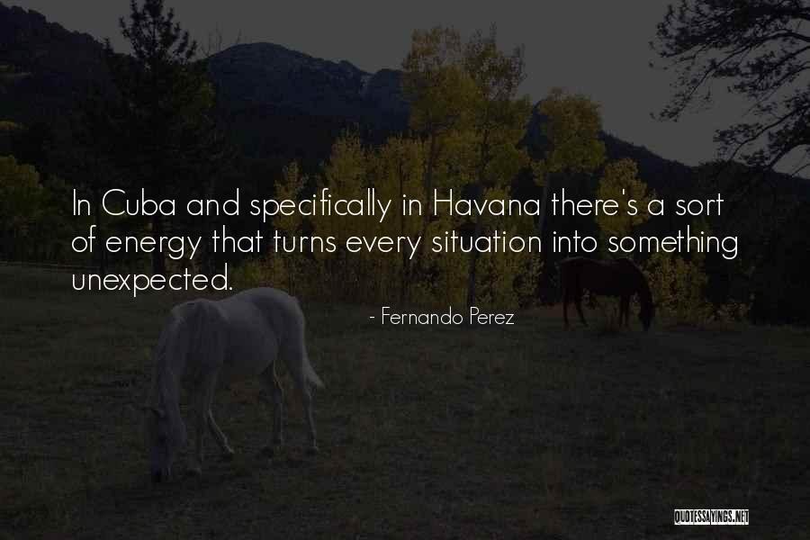 Kizzys Crackerjacker Morgan Stallion Quotes By Fernando Perez Kizzys Crackerjacker Morgan Stallion Quotes By Fernando Perez