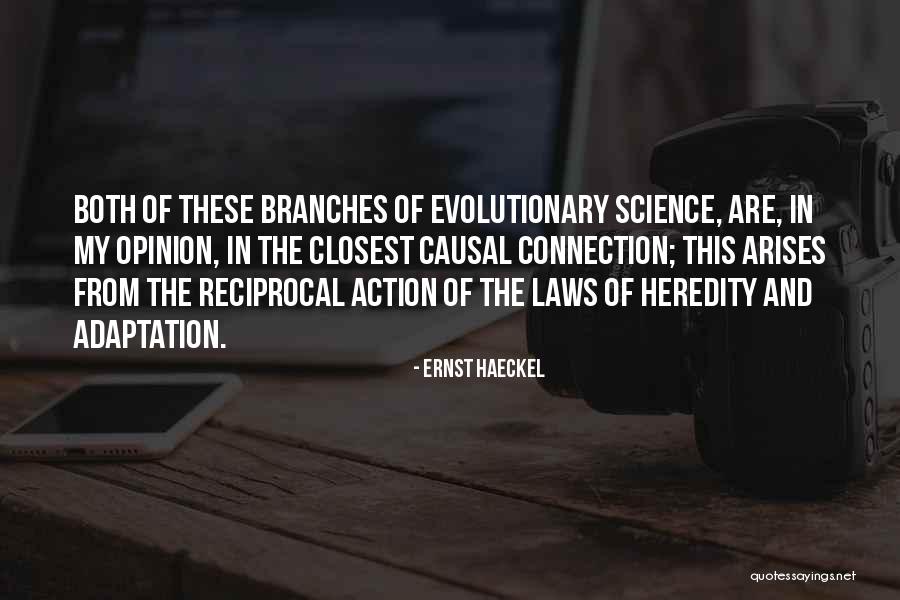 Kjirsten Ogburn Quotes By Ernst Haeckel Kjirsten Ogburn Quotes By Ernst Haeckel
